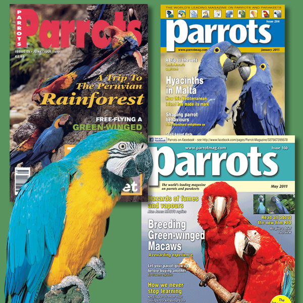 Macaw back issues
