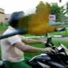 Brasil Free Fly