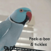 Peek-a-boo