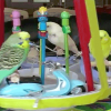 Performing Budgies