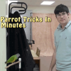 Speed Tricks