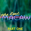 The Real Macaw - Part 1