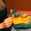 Training Baby Parrots