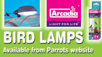 Arcadia Bird Lamps