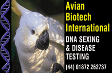 Avian Biotech