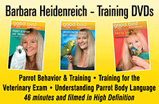 Barbara Heidenreich Training DVDs