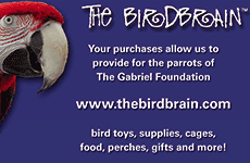 The Gabriel Foundation