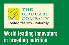 The Birdcard Company