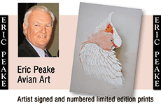Eric Peake Avian Art