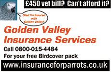 Golden Valley Insurance