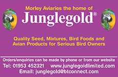 Jungle Gold