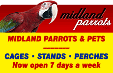 Midland Parrots