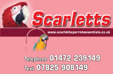 Scarletts