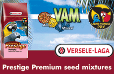Versele Laga