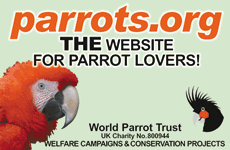World Parrot Trust