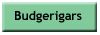 Budgerigar Breeders