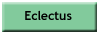 Eclectus breeders