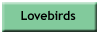 Breeders of Lovebirds