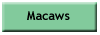 Breeders of Macaws