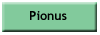 Pionus breeders