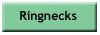 Breeders of Ringnecks