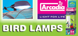 Arcadia Lighting
