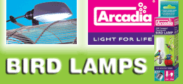 Arcadia Lighting Arcadia Lighting