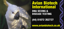 Avian Biotech