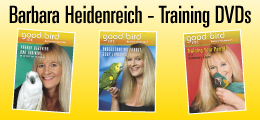 Barbara Heidenreich Training DVDs