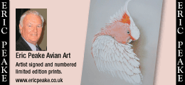 Eric Peake Avian Art Eric Peake Avian Art