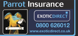 Exotic Direct Insurance