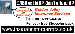 Golden Valley Insurance Services