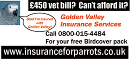 Golden Valley Insurance Services Golden Valley Insurance Services
