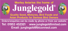 Junglegold