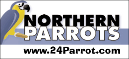 Northern Parrots Northern Parrots
