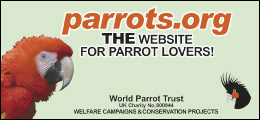 World Parrot Trust World Parrot Trust