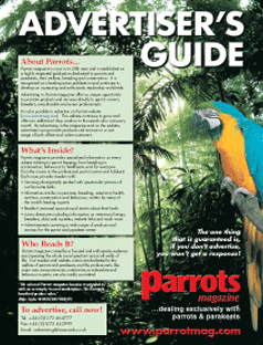 Advertiser's Guide front image