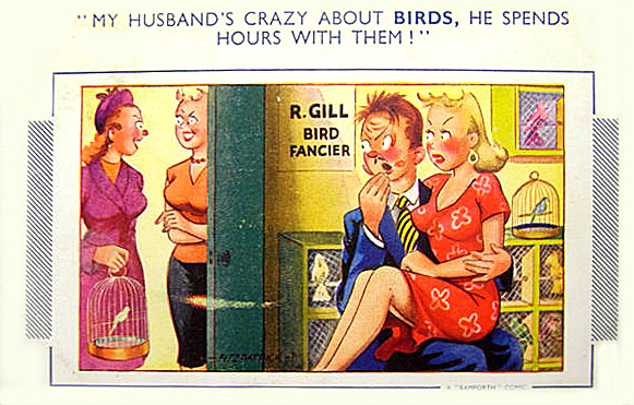 Bird fancier - comic postcard