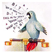 Collecting parrots on postcards Collecting parrots on postcards