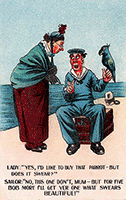 Why did sailors have parrots?