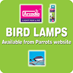 Arcadia Bird Lamps Arcadia Bird Lamps