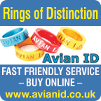 Avian I D