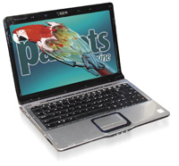 Parrot Websites