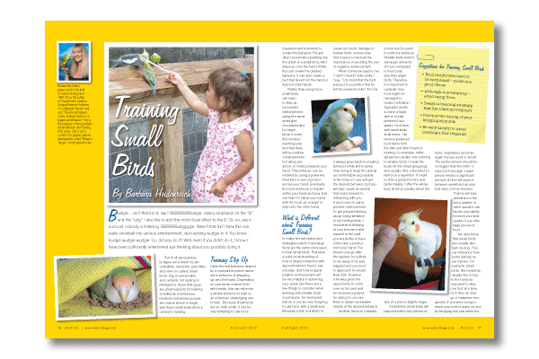 Training Small Birds Training Small Birds