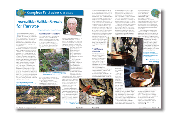 Inside the latest Parrots magazine Inside the latest Parrots magazine