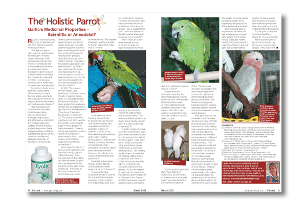 Inside the latest Parrots magazine Inside the latest Parrots magazine