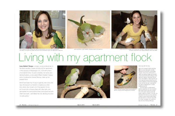 Inside the latest Parrots magazine