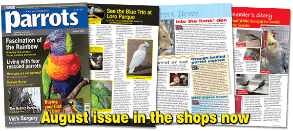 Parrots magazine out now
