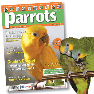 October 2012 Parrots magazine