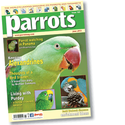 Parrots magazine June 2013